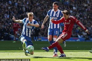 英超-埃基蒂克伤退维尔贝克双响 利物浦1-2布莱顿三轮不胜